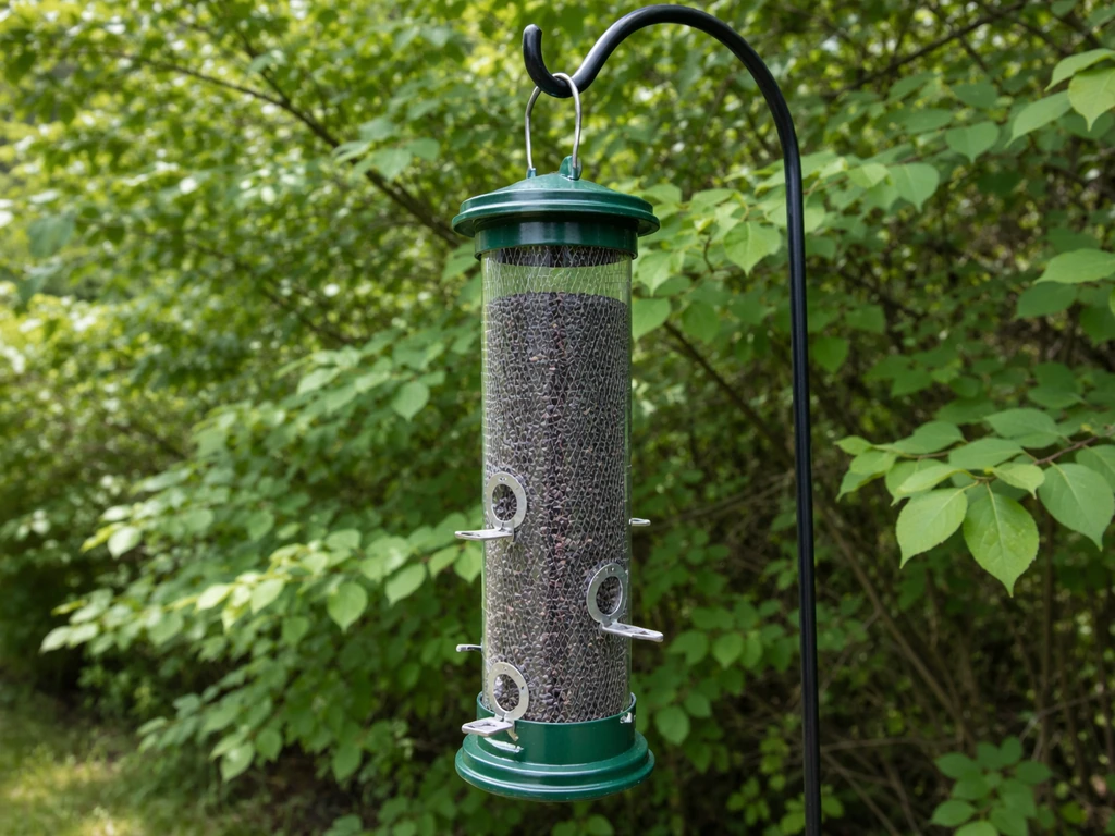 Thistle feeder hung at 4–6 feet with nearby shrubs providing finch cover